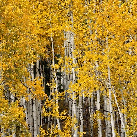 Aparthotel Aspen Springs Angel Fire Exterior foto